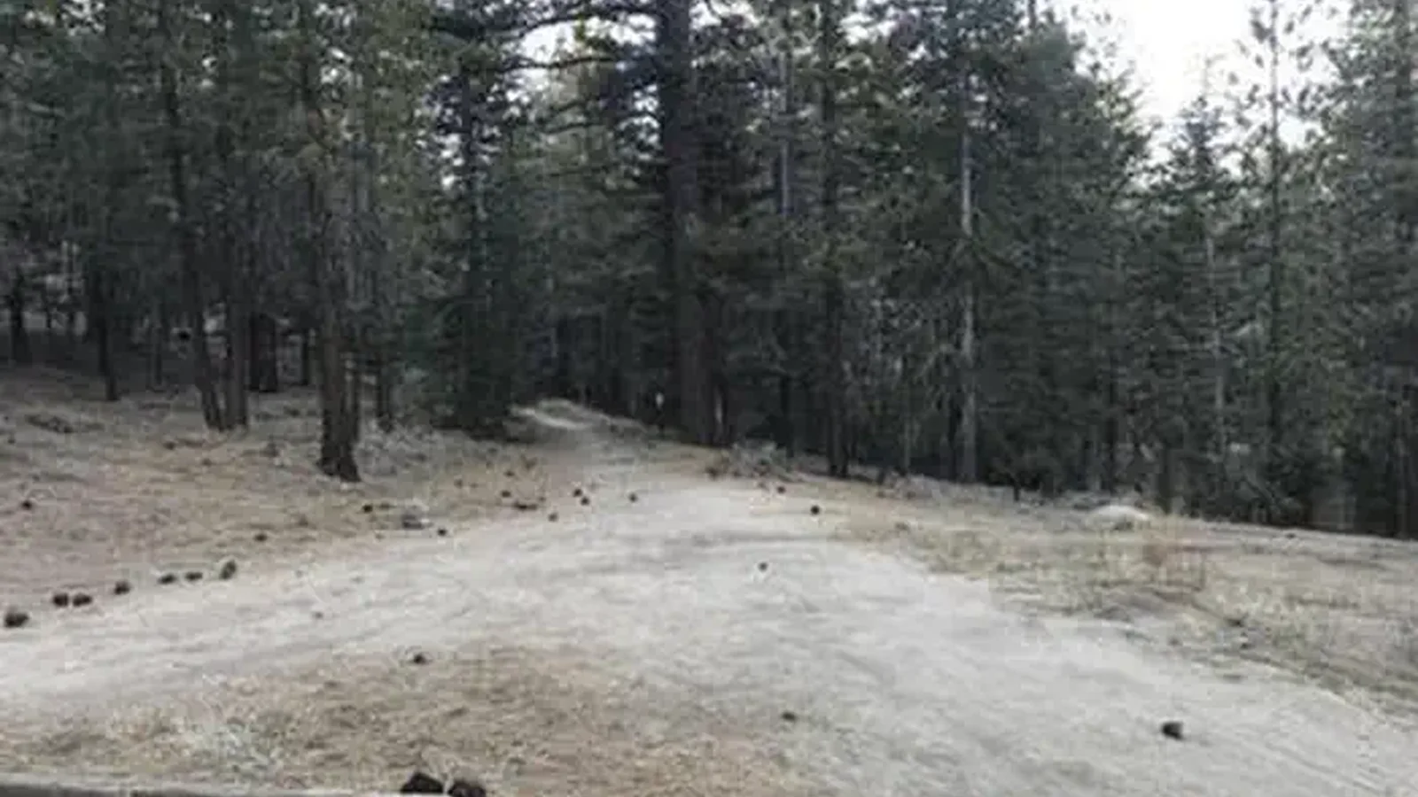 MT. PINOS CAMPGROUND