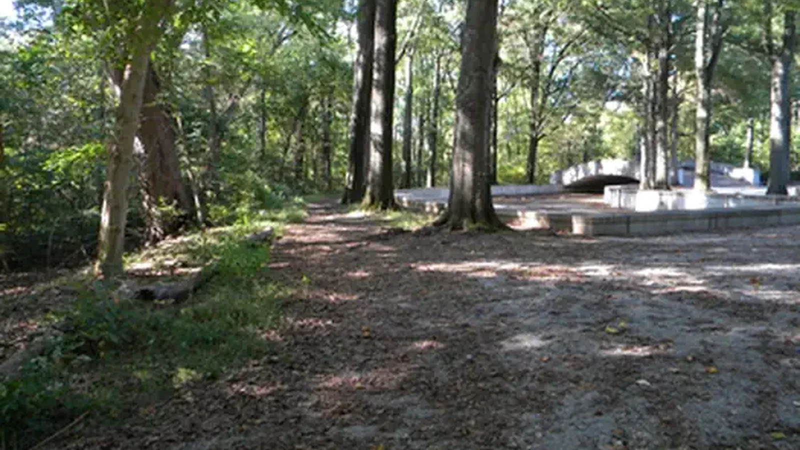 Theodore Roosevelt Island Trail