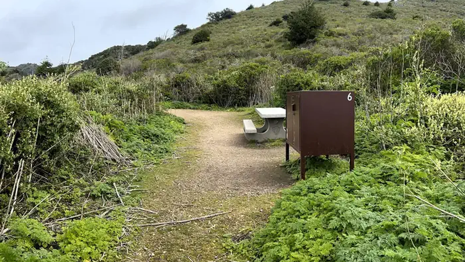 Coast campsite 6 with bear proof food locker and picnic table.
