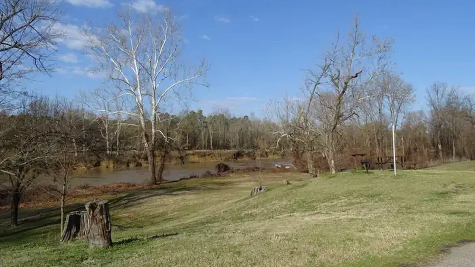 Rattan river bank