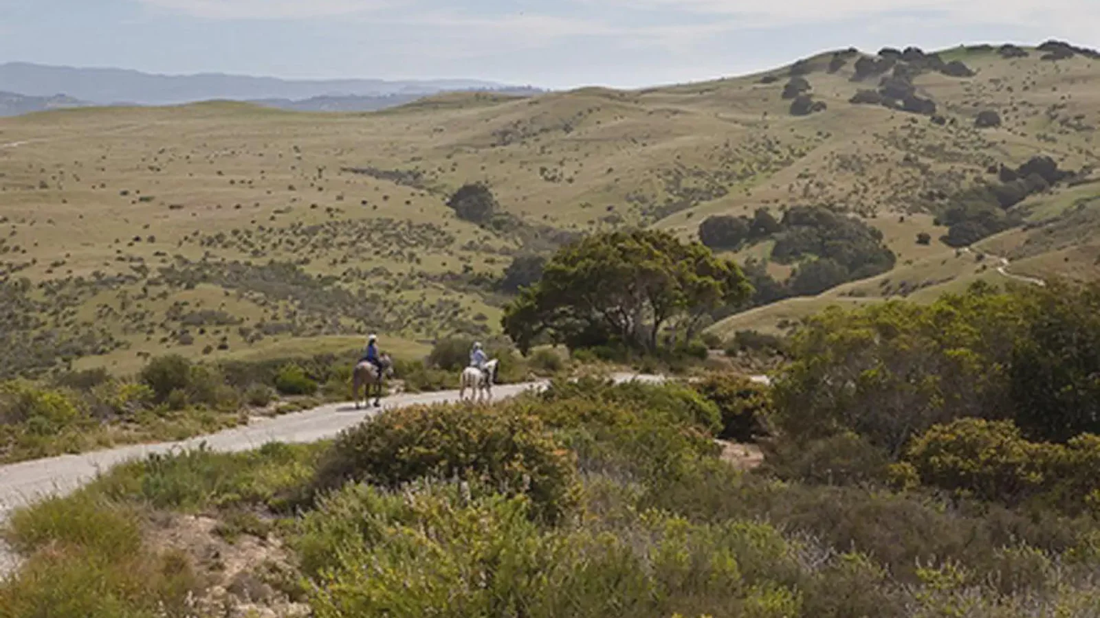 Horseback Riding at Fort Ord
