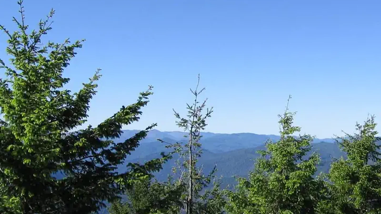View from Bald Knob Lookout
