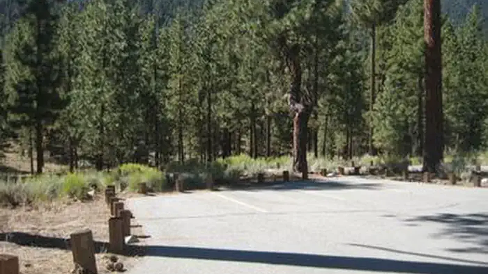 View from Skyline Campground
