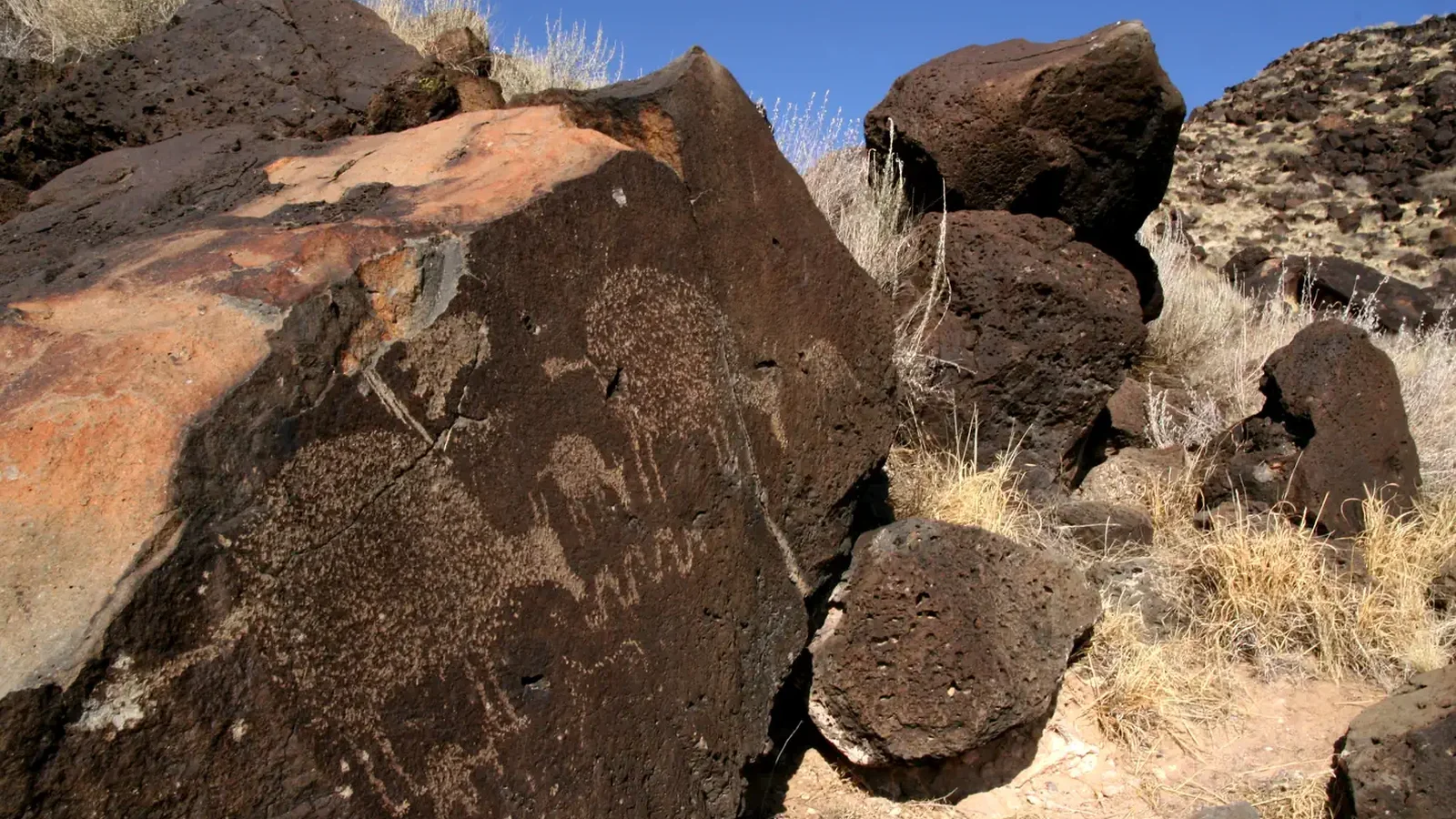 Petroglyph of grazing sheep in Rinconada Canyon
