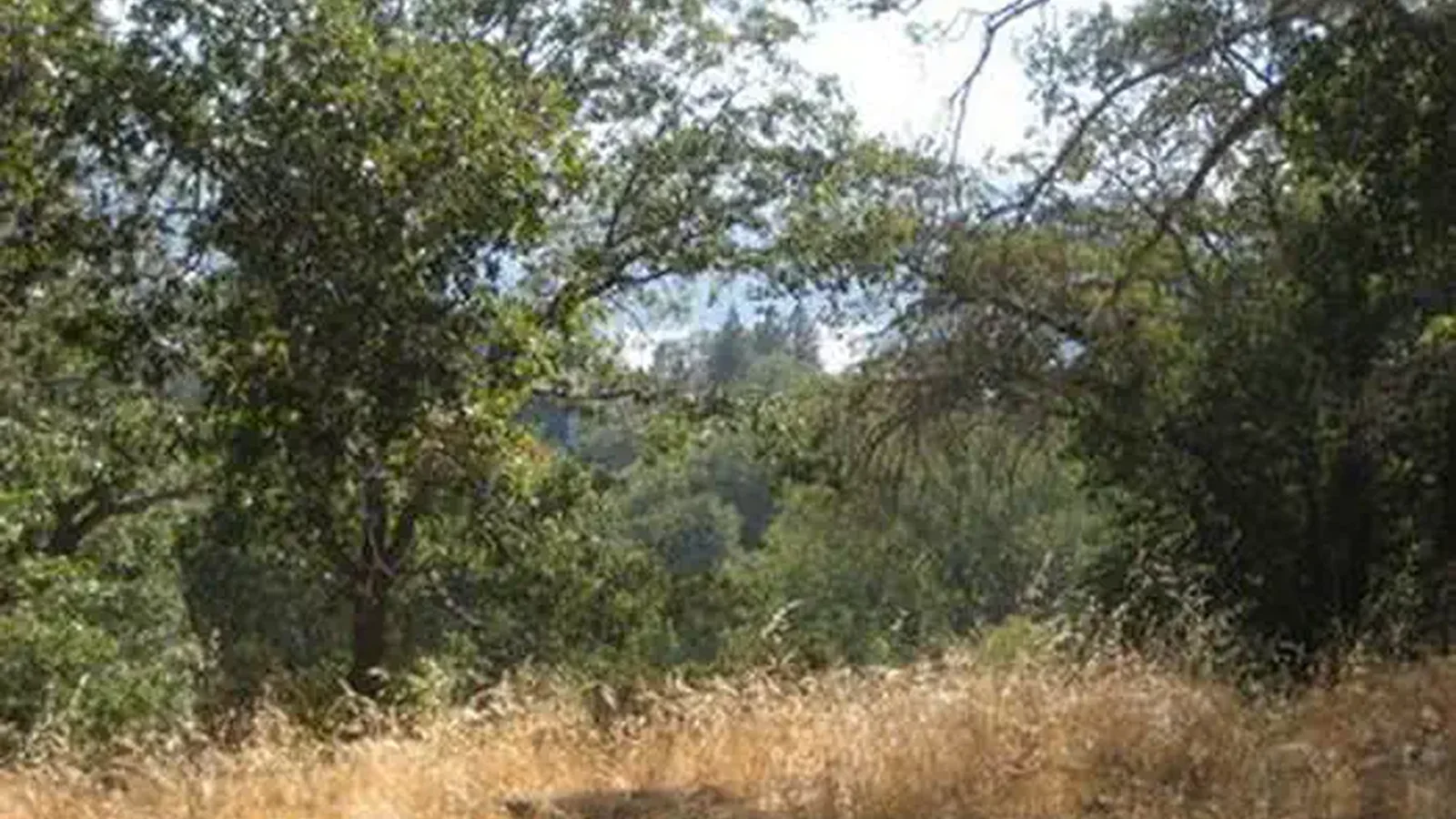 View from North Shore Campground