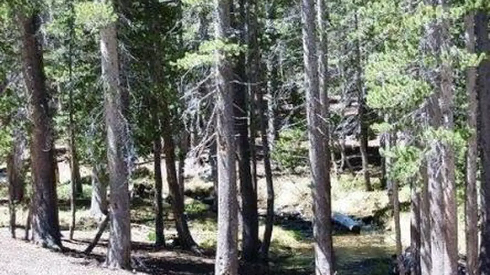 COLDWATER CAMPGROUND