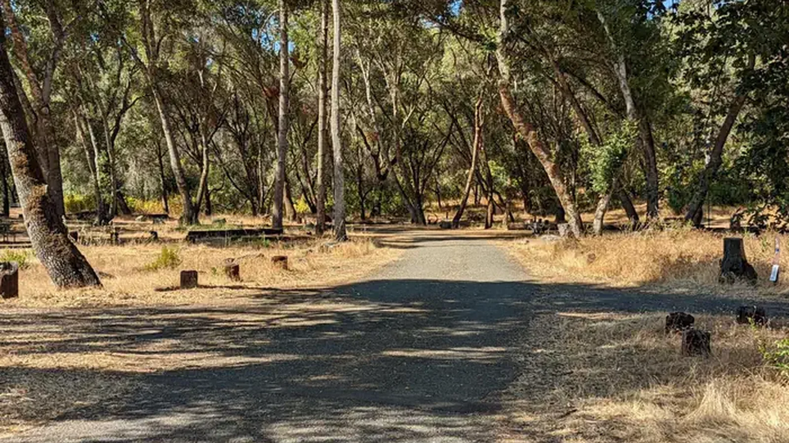 Bushay Campground 50s loop