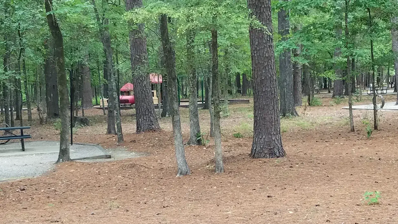 Campsite and playground in Malden Lake Campground.