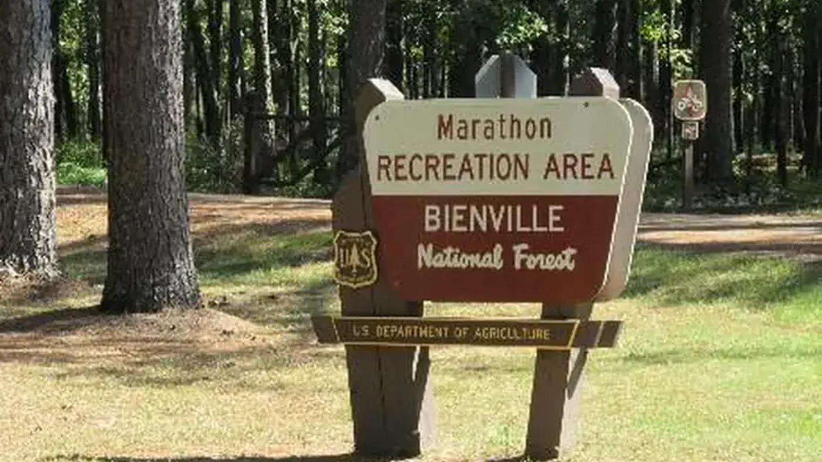 Welcome to Bienville National Forest