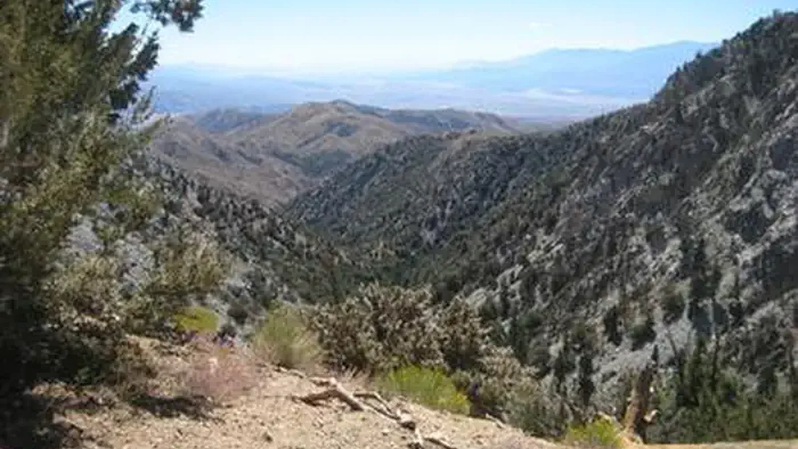 View from Coon Creek Group Campground