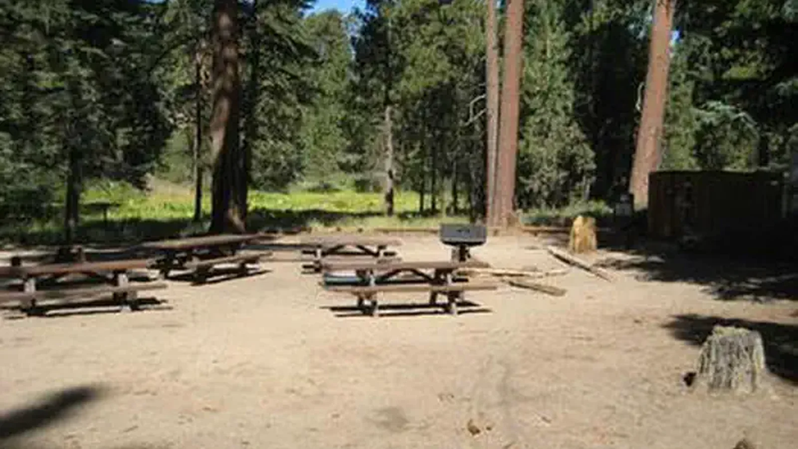 Picnic Tables and BBQ Grill at Deer Group Camp