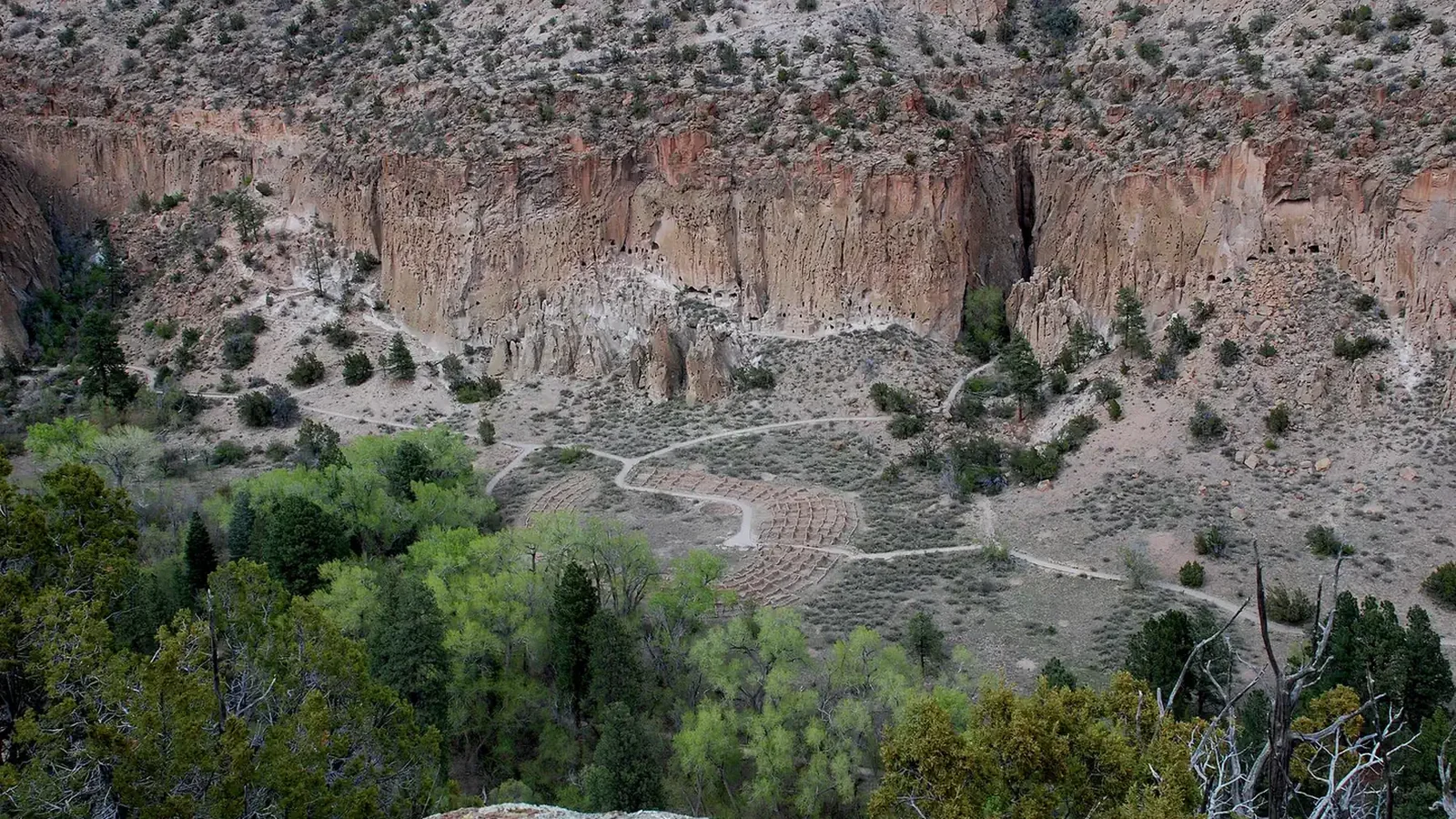 View into Frijoles Canyon with archeological sites