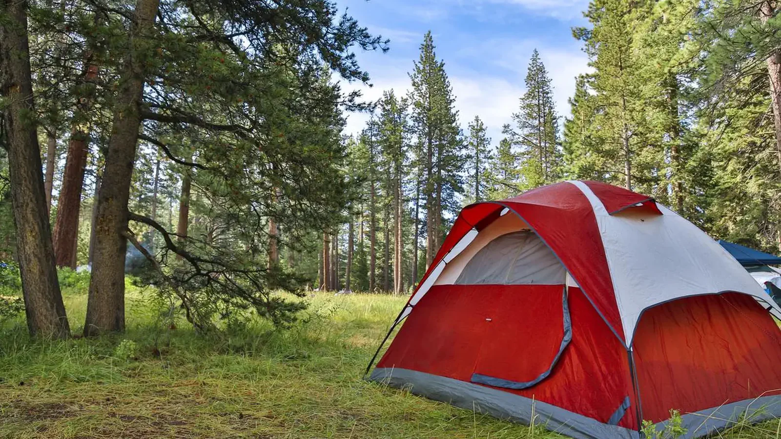 Tent