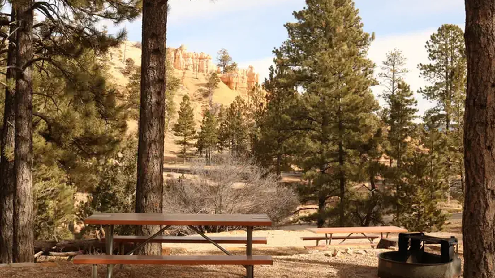NORTH CAMPGROUND
