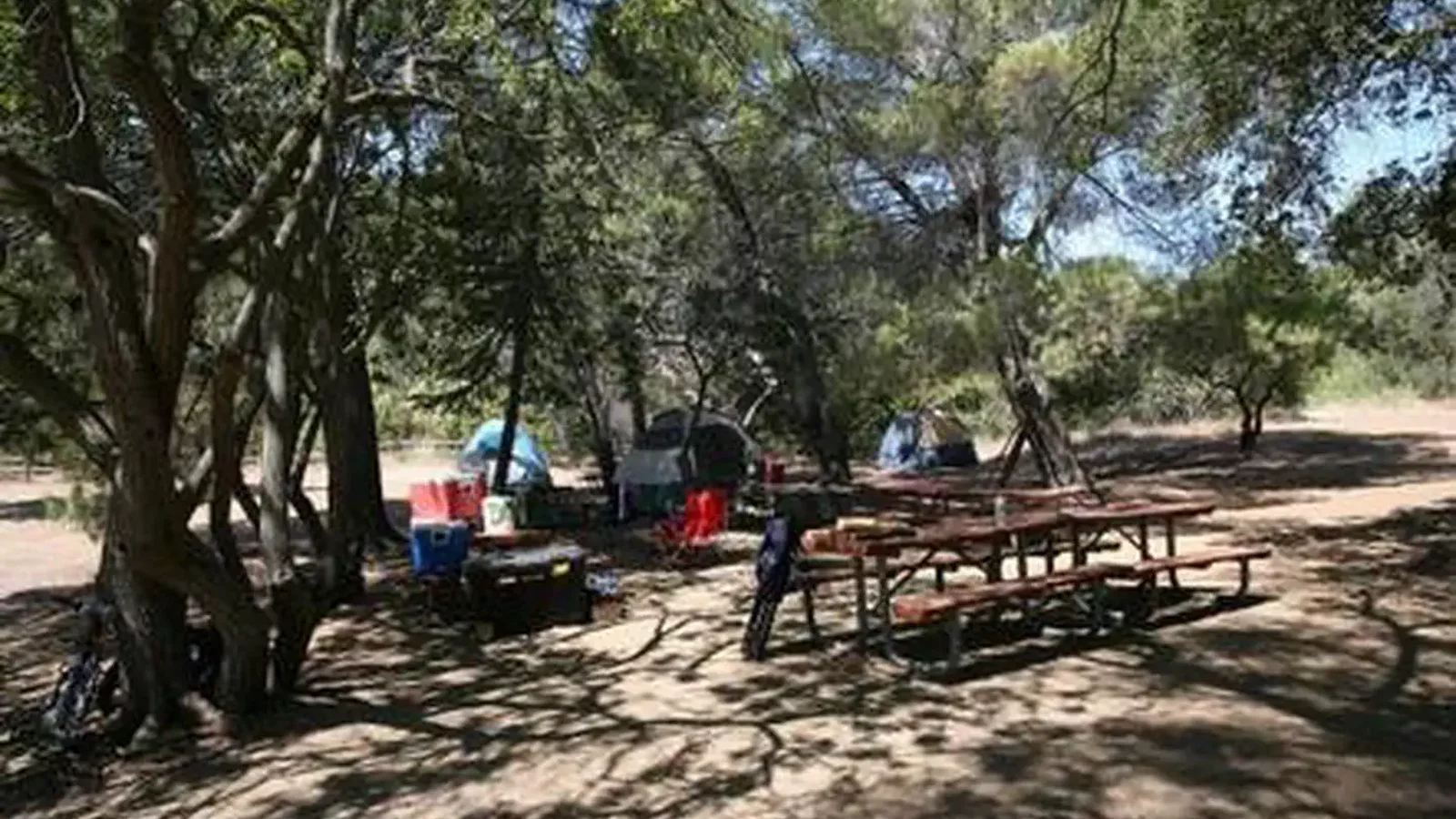 CIRCLE X RANCH GROUP CAMPGROUND
