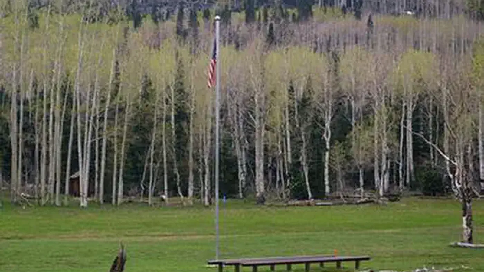 DEER HAVEN