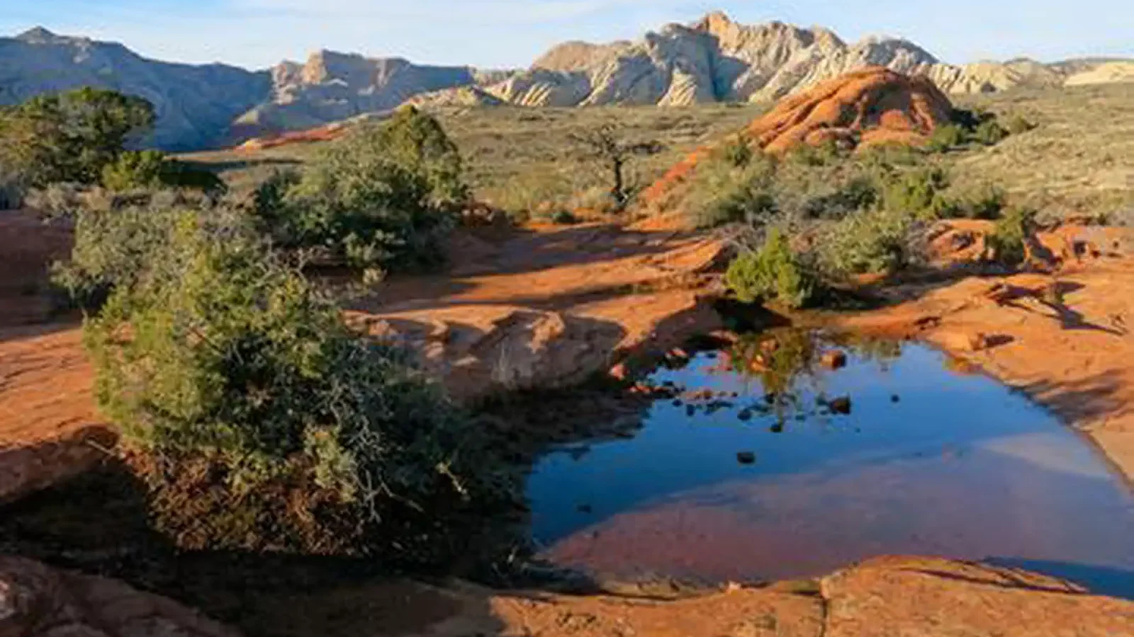 Snow Canyon State Park