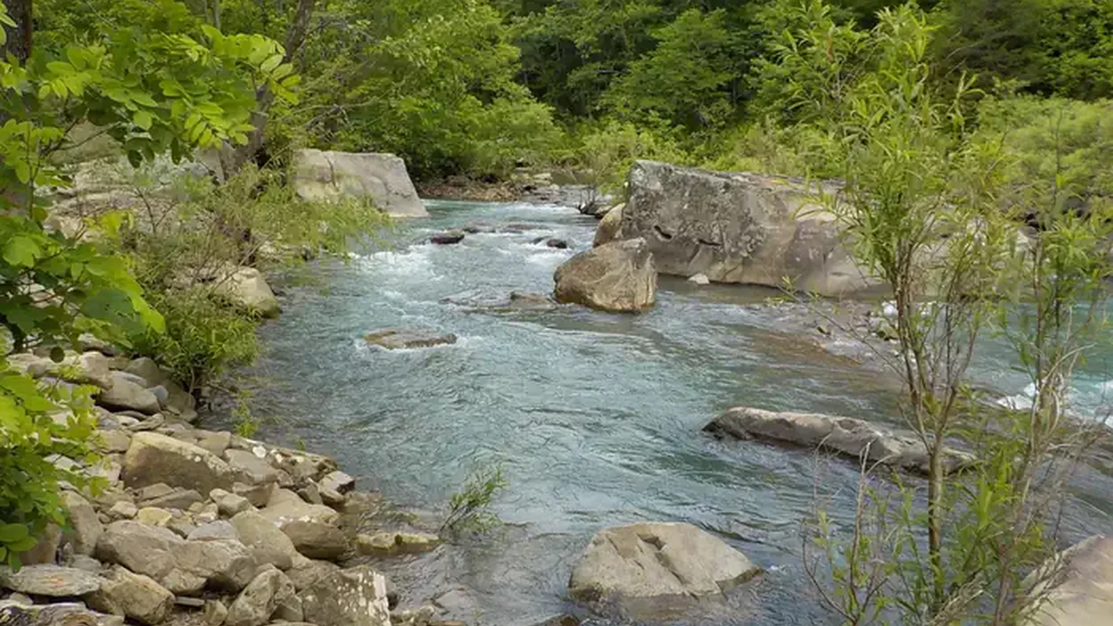 Richland Creek