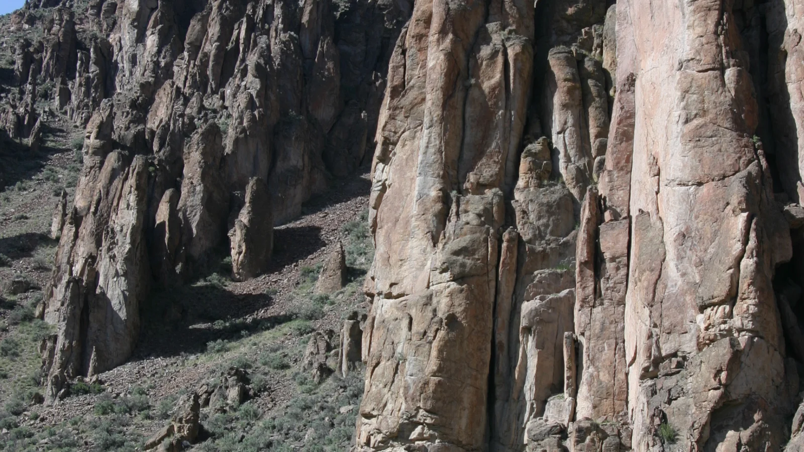 South Fork Owyhee