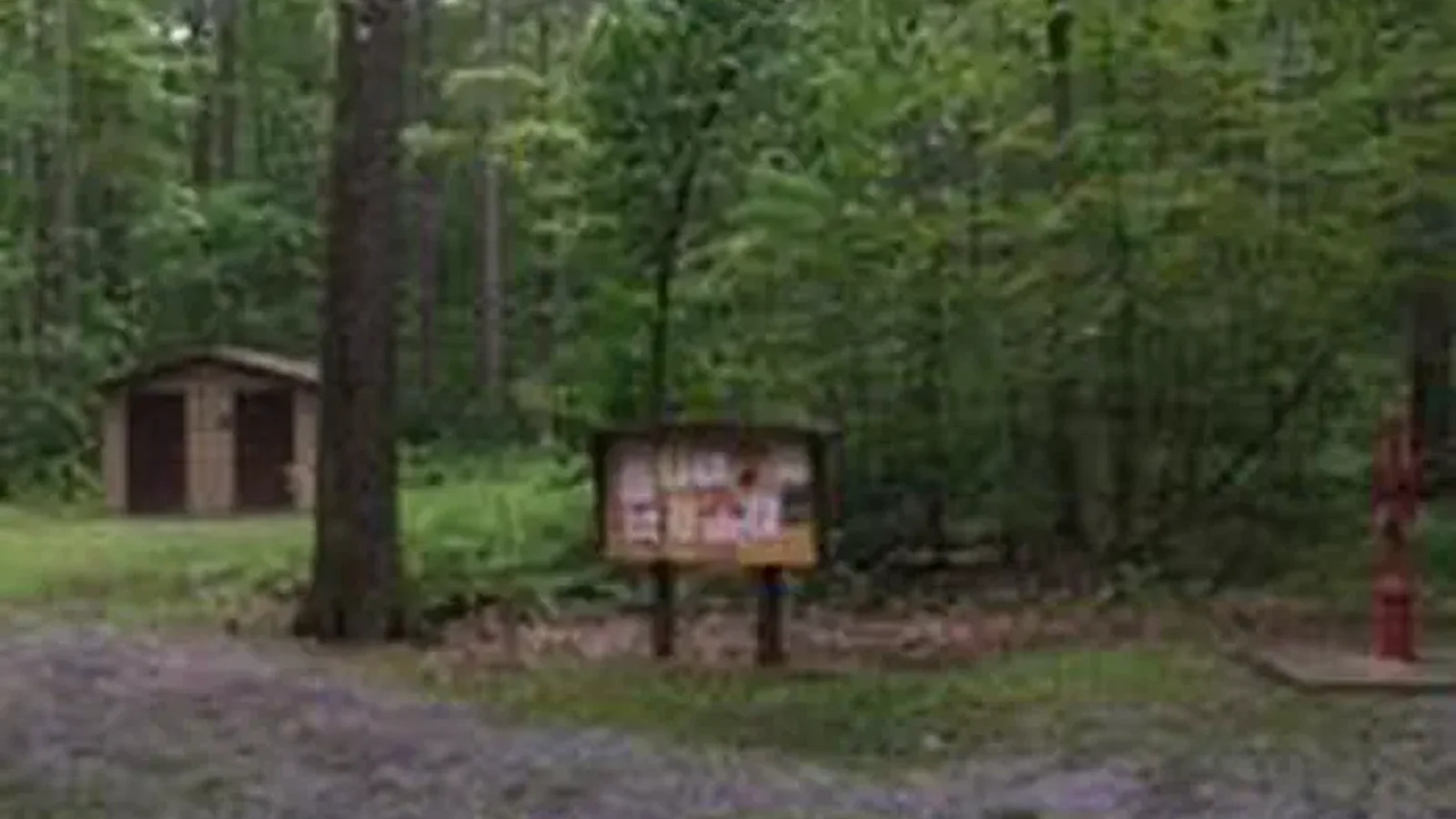 TRACY RIDGE