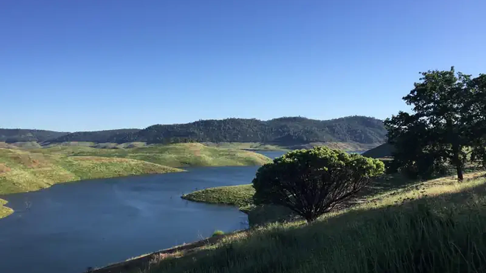 New Melones Lake with green grass in foreground, rolling hills in the distance.