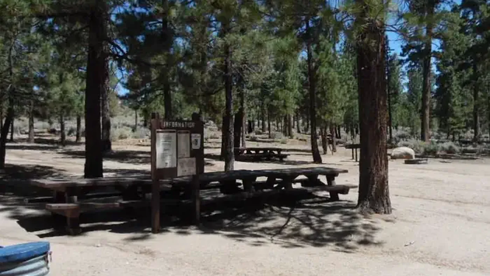 Big Pine Group