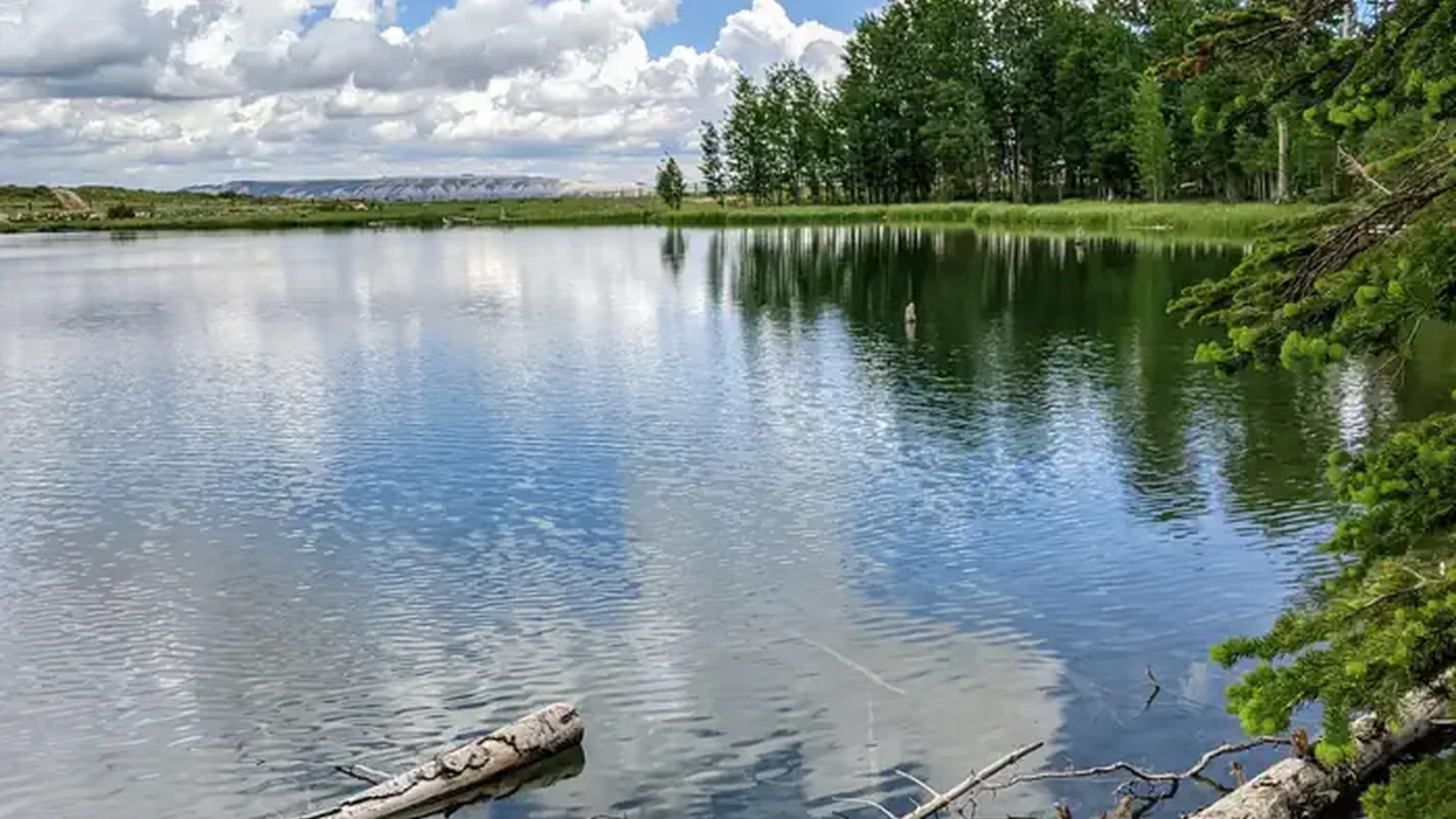 Willow  Lake Fishing