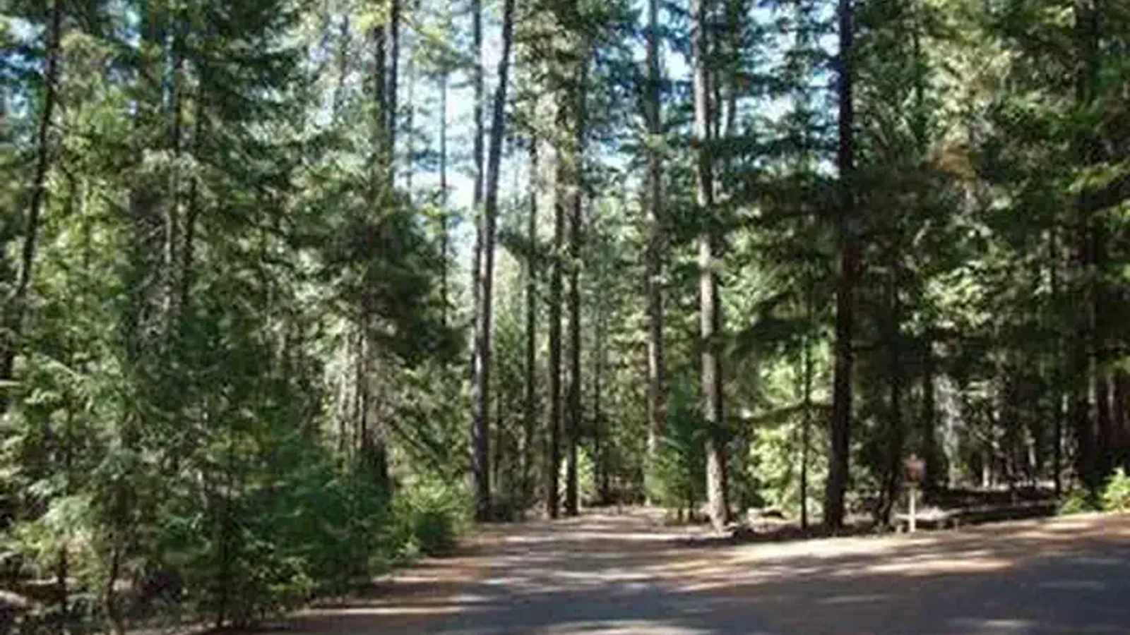 ALPINE VIEW CAMPGROUND