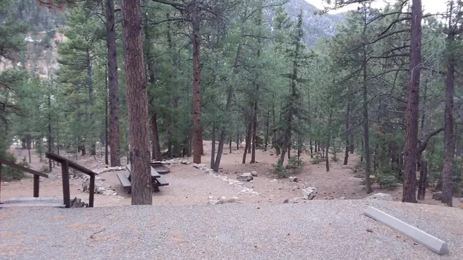 Site 5
