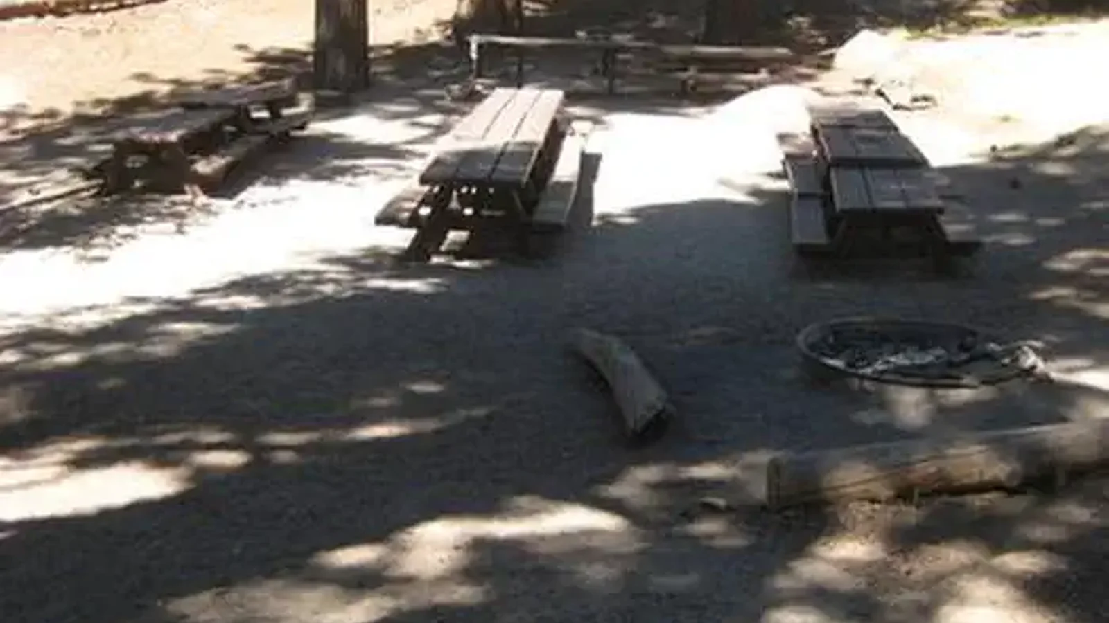 Picnic benches and fire ring.