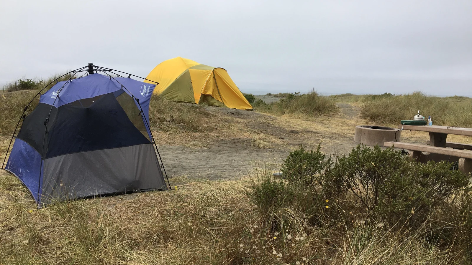 Tents at Gold Bluffs Beach campground