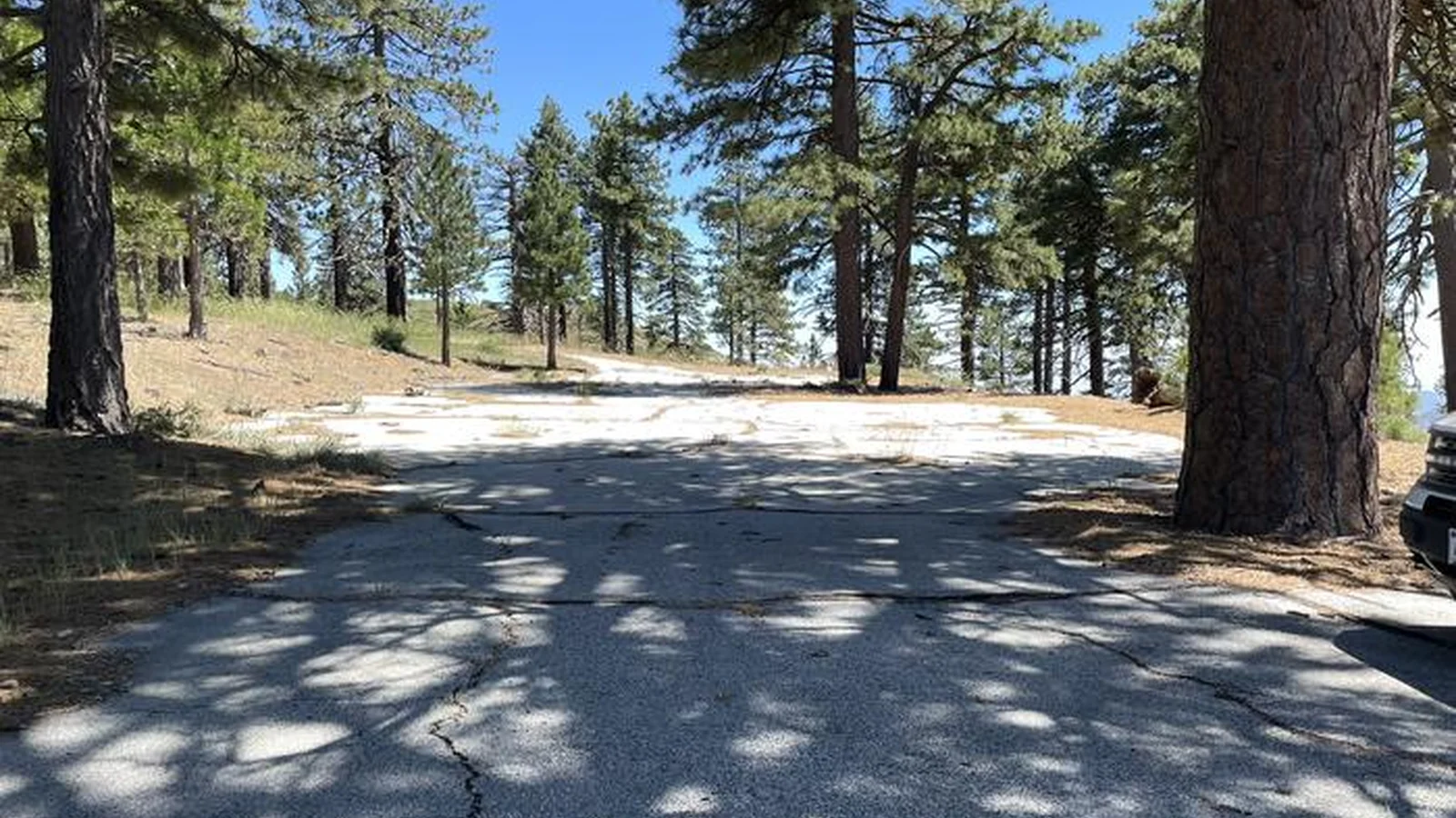 Gravel overflow parking in a shady pine tree forest.