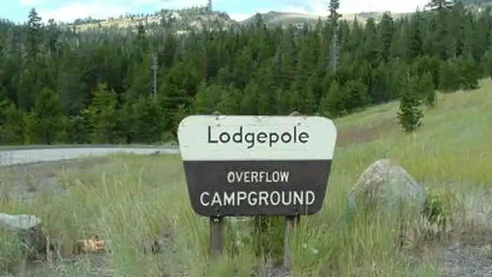 LAKE ALPINE - LODGEPOLE GROUP