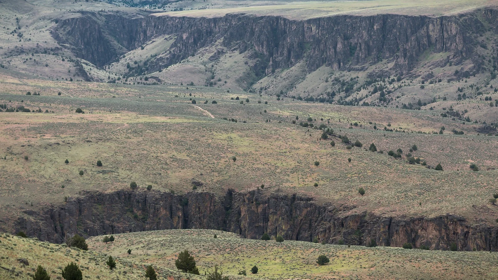 Incised canyon of the North Fork Owyhee Wild and Scenic River