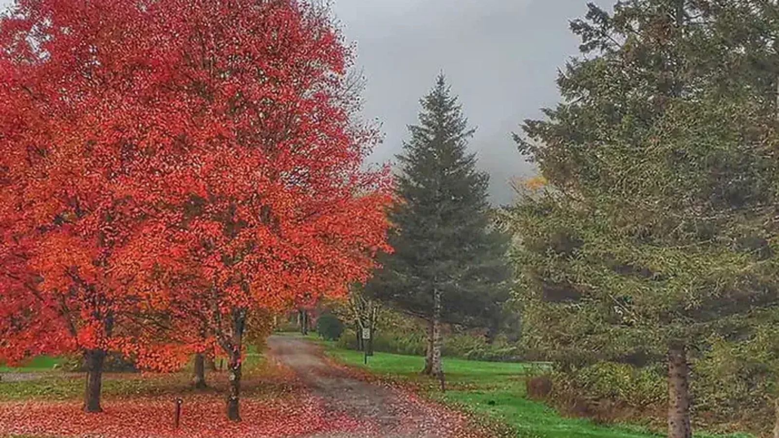 KELLETTVILLE RECREATION AREA (PA)-