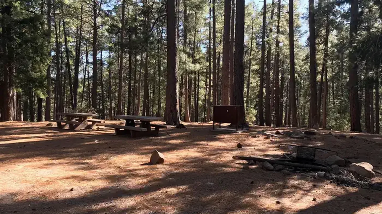 Upper Twilight Group Site