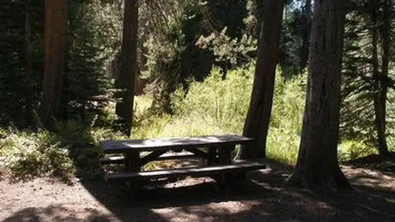 AGNEW HORSE CAMP