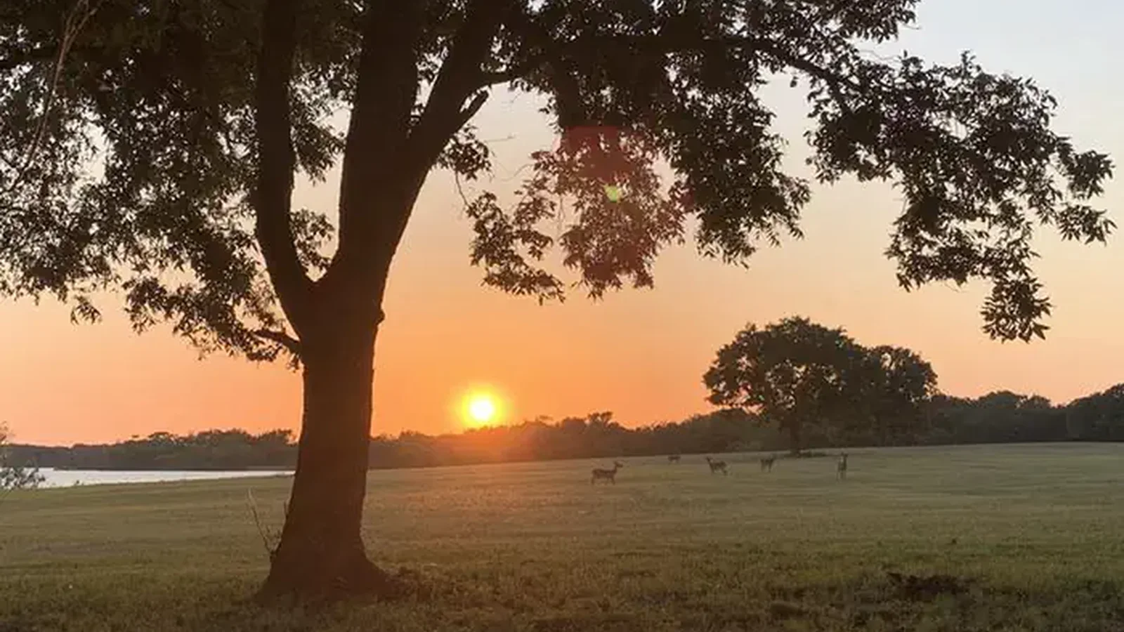 Wolf Creek Park (Navarro Mills Lake)