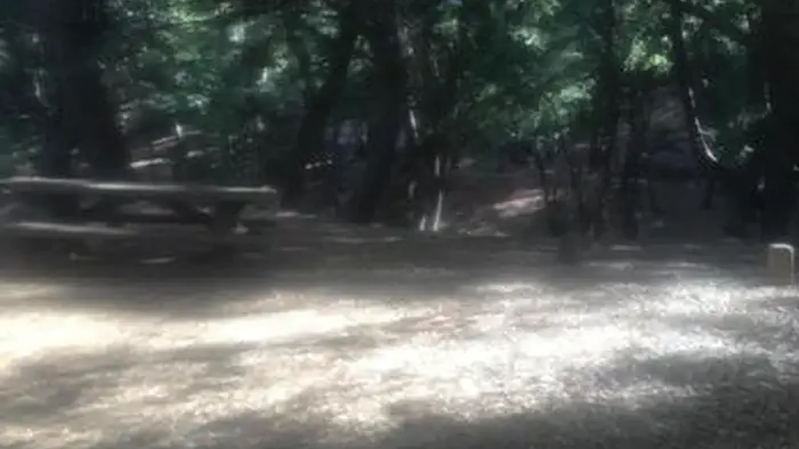 CHINA CAMP CAMPGROUND