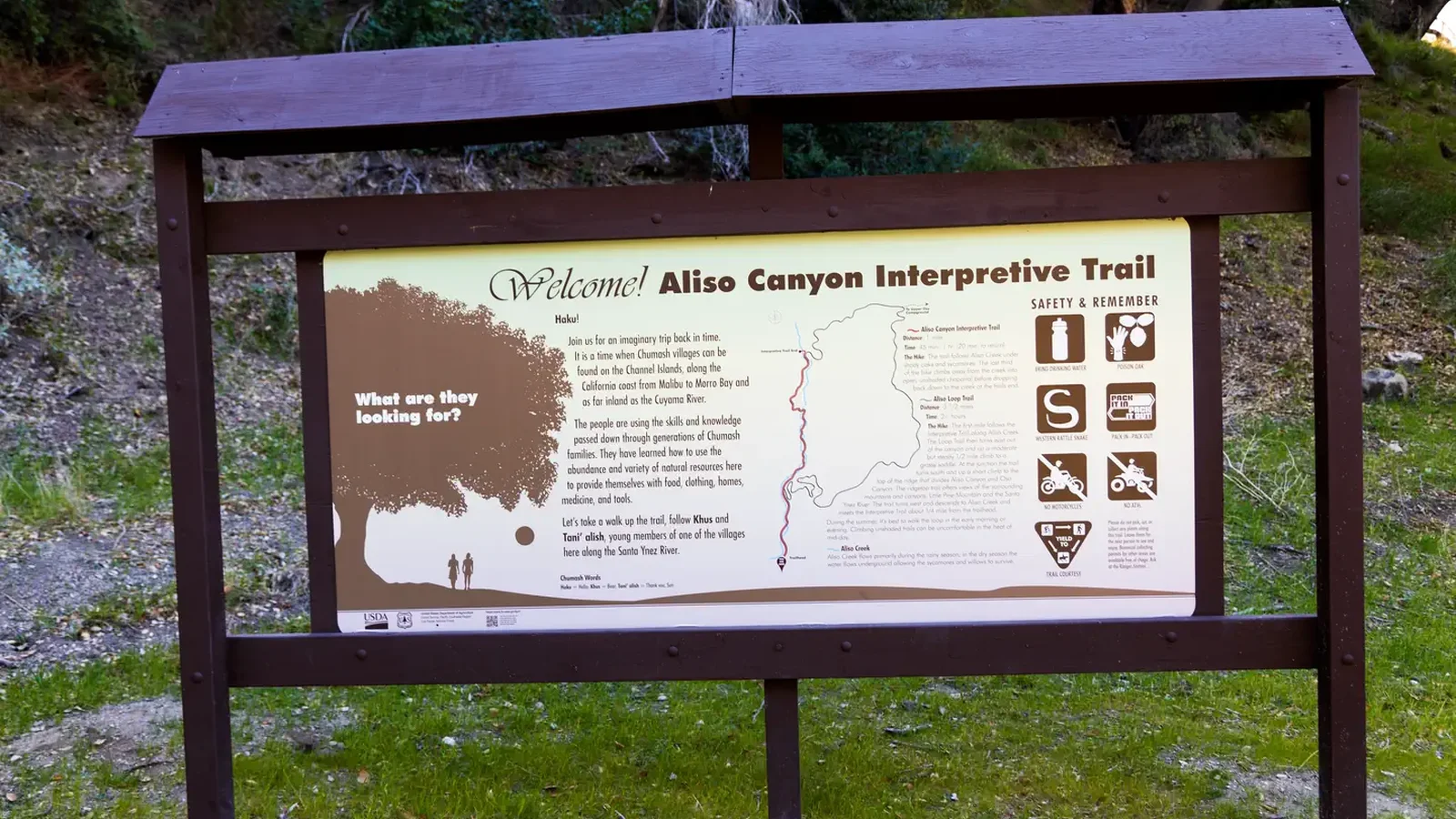 Aliso Trailhead at back of Sage Hill Campground