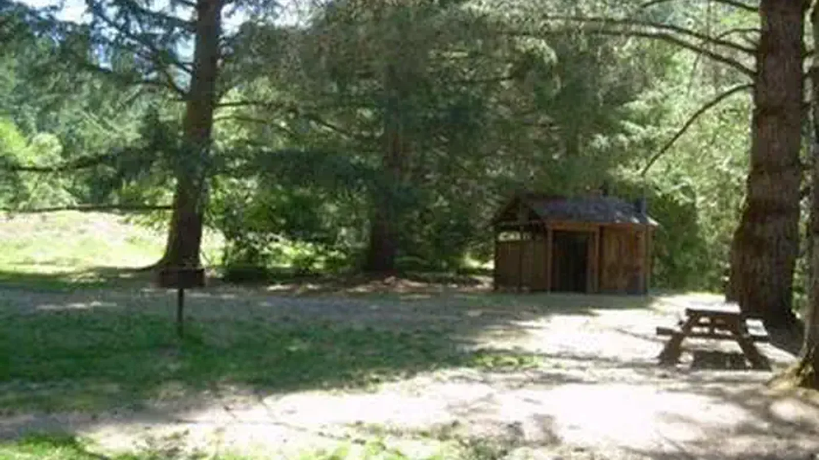Picnic table and vault toilet in sun dappled pine forest.