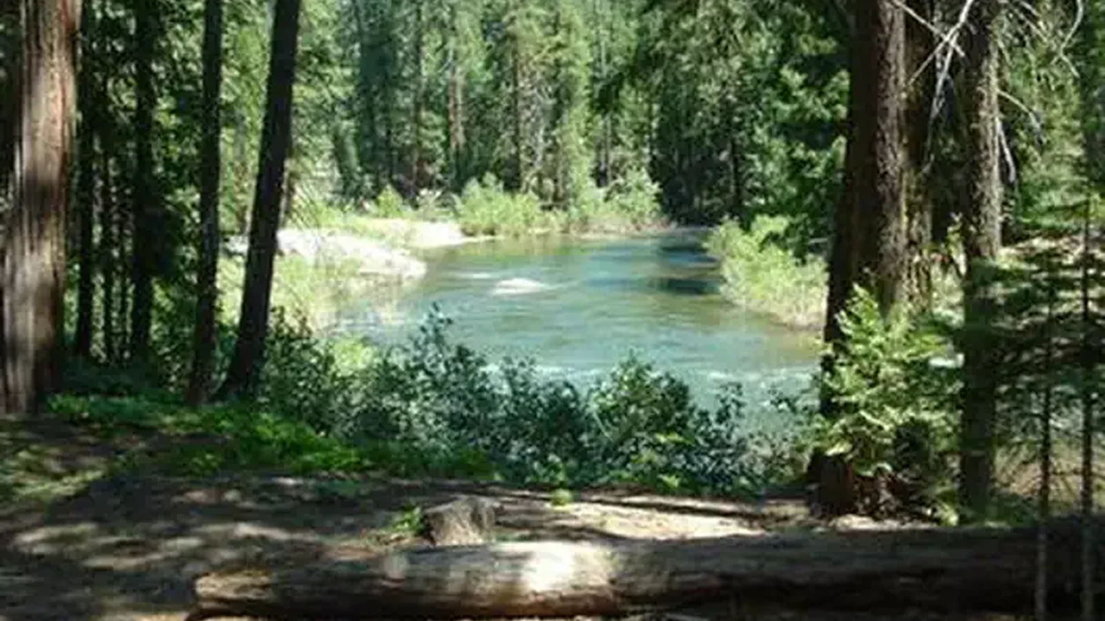 HARVEY WEST CABIN