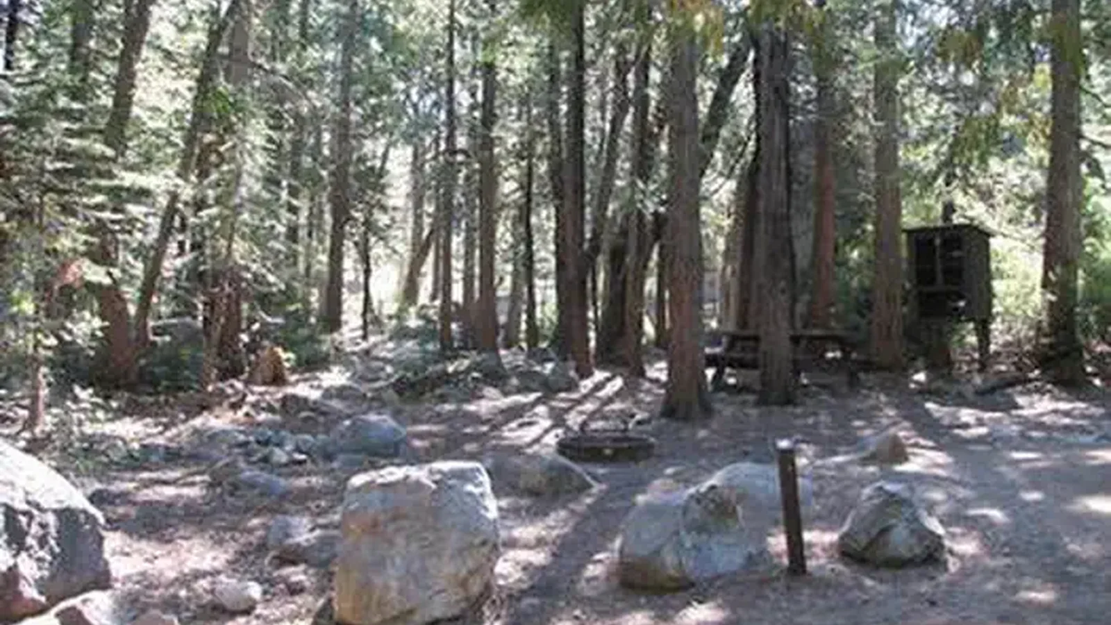 STUMPY MEADOWS