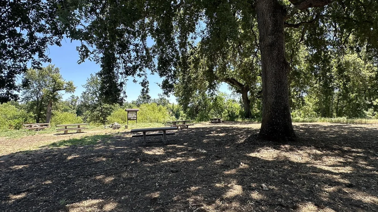 Reading Island Group Camping Area