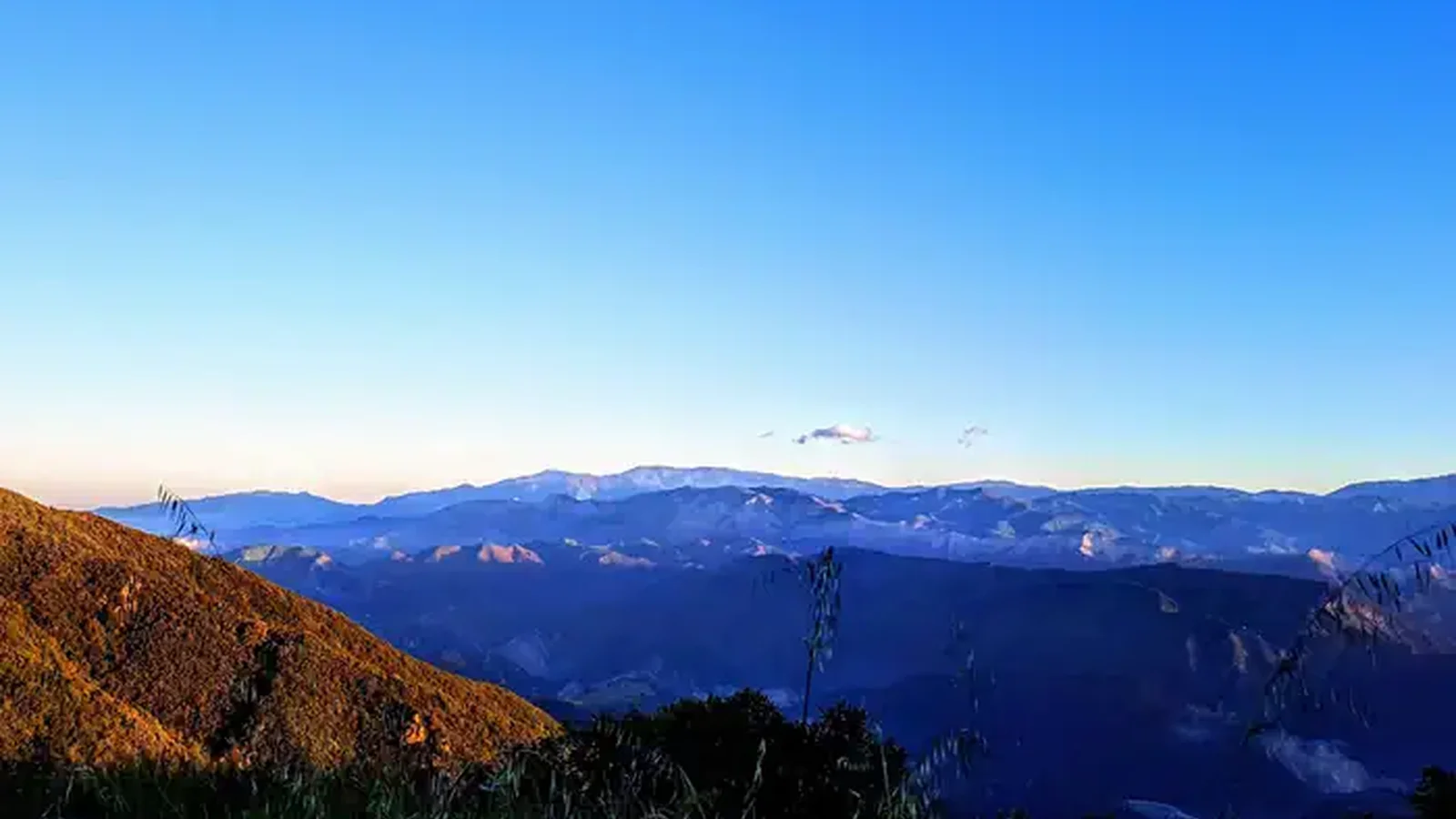 Los Padres National Forest