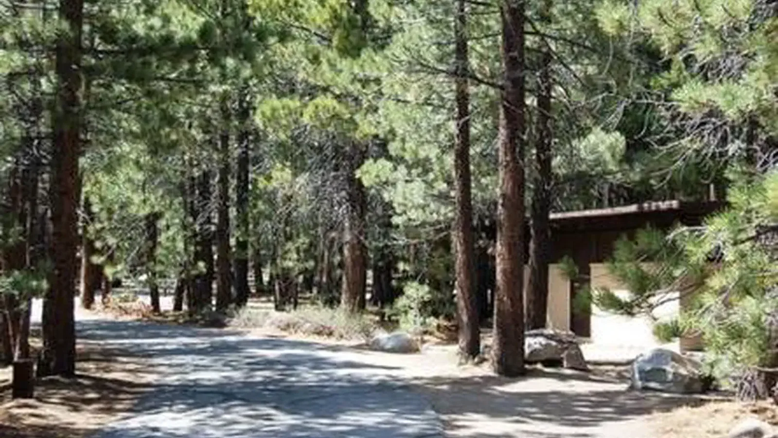 NEW SHADY REST CAMPGROUND