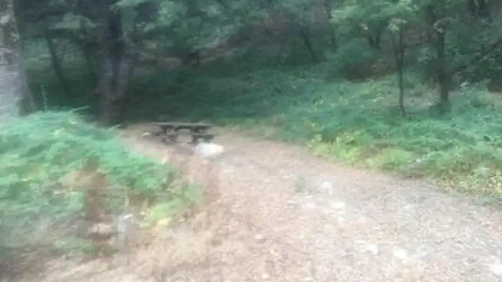 WHITE OAKS CAMPGROUND