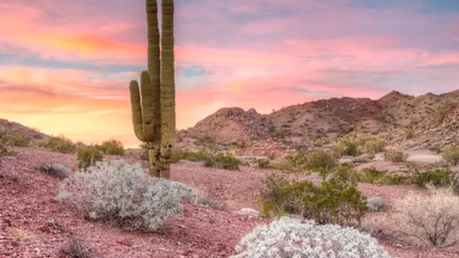 Whipple Mountains
