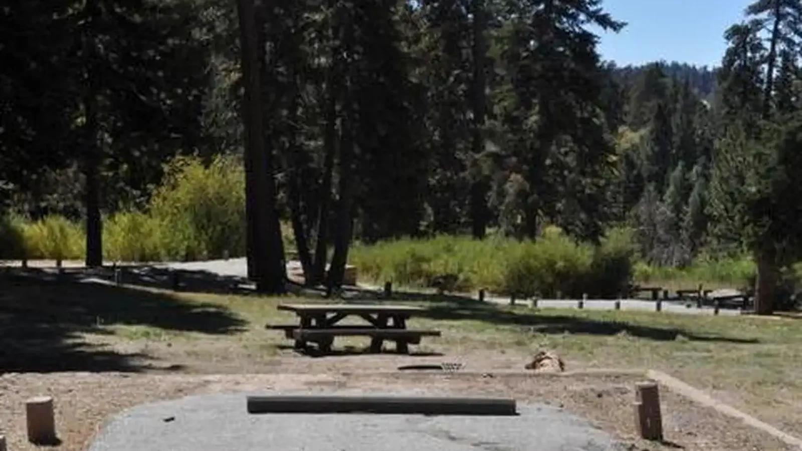 Picnic Table at Green Valley Campground