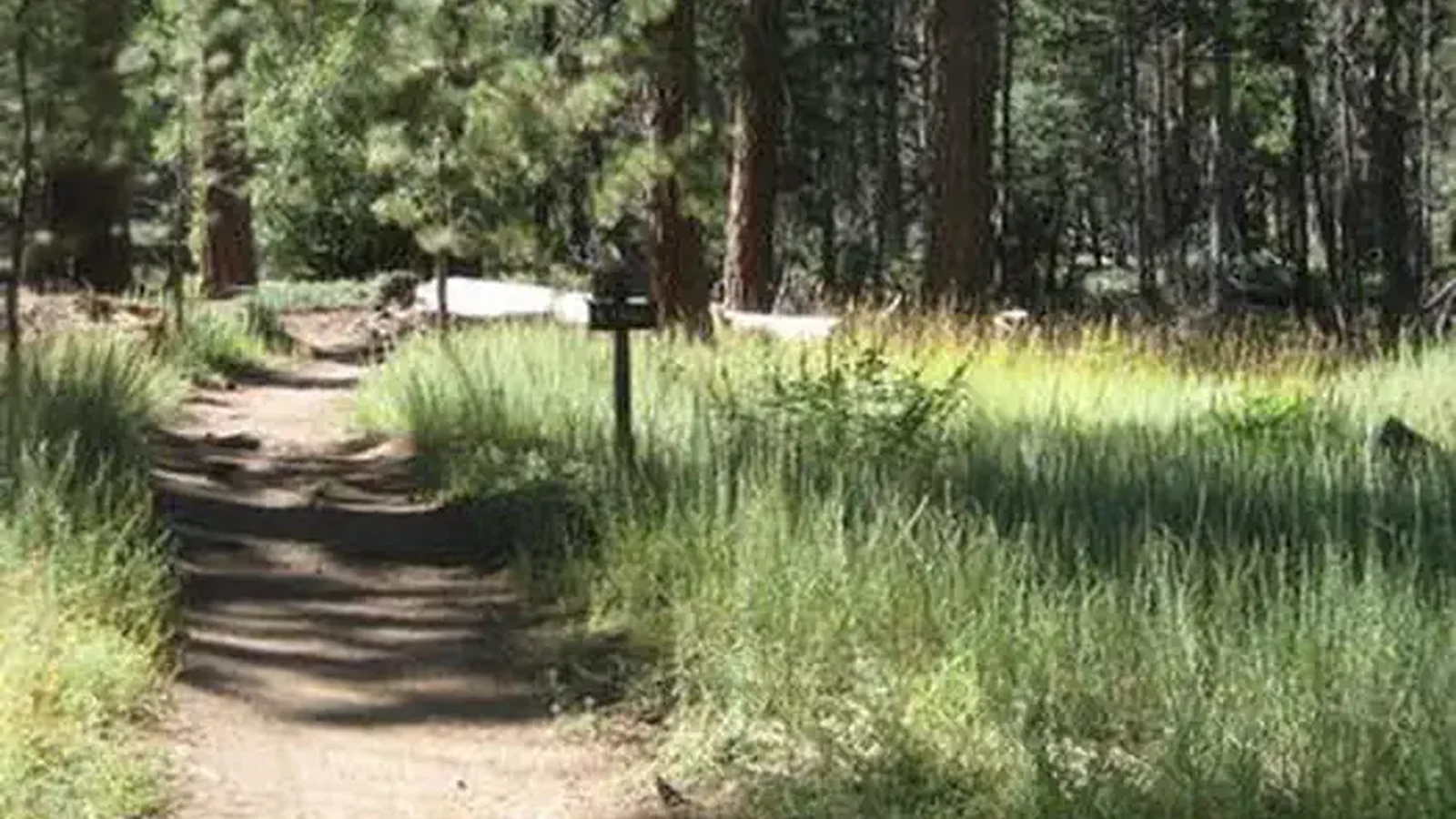 Scenic View of Deer Group Camp